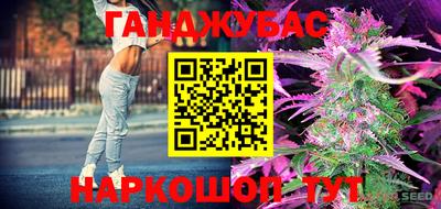 шишки Бузулук