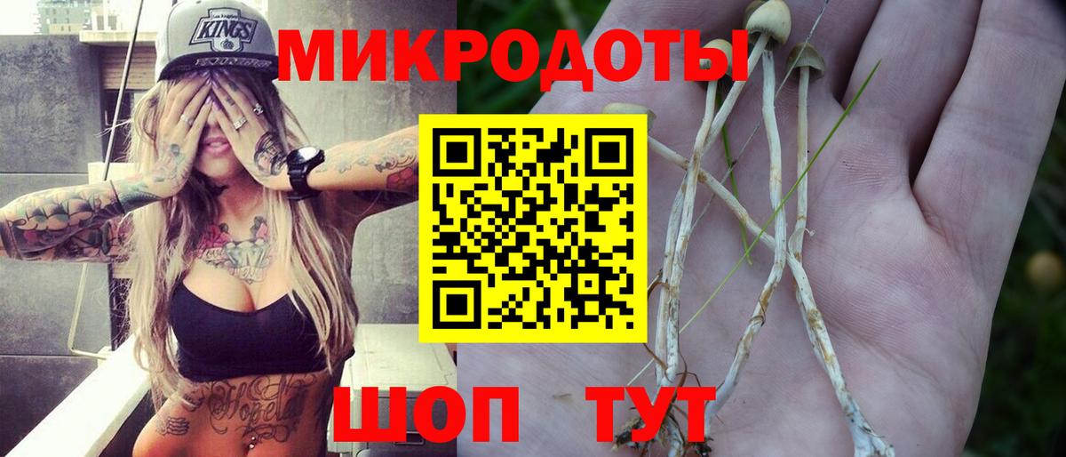 Псилоцибиновые грибы ЛСД Лениногорск