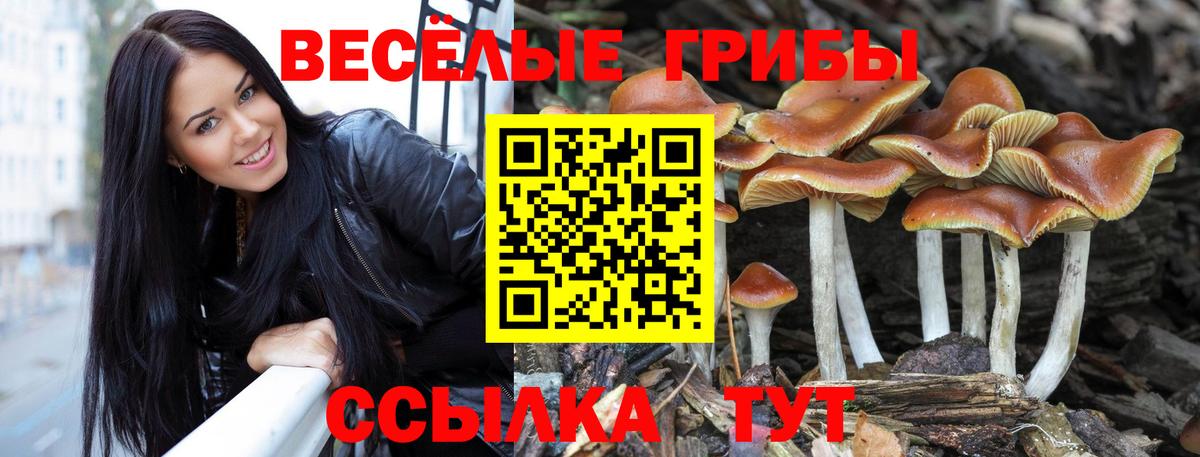 Галлюциногенные грибы мицелий  Вход с VPN  Лениногорск 