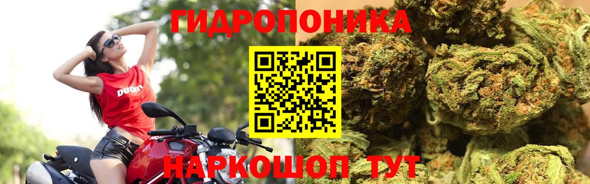 Бошки марихуана план  Шишки марихуана AK-47  Конопля гибрид  Вход с VPN  Лениногорск 